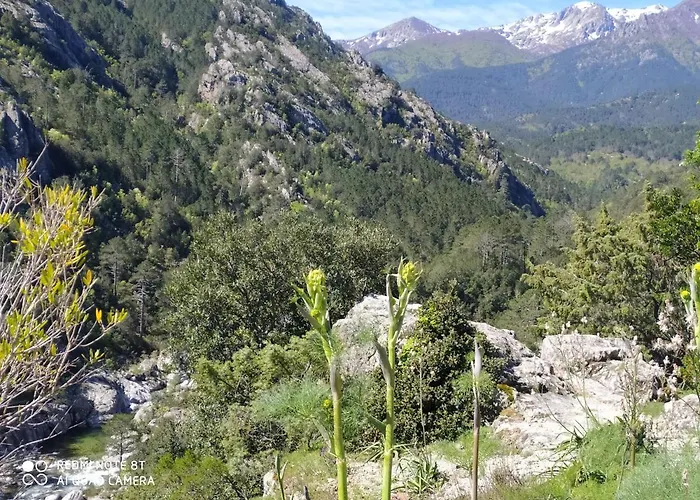 בית נופש De Charme Avec Piscine *