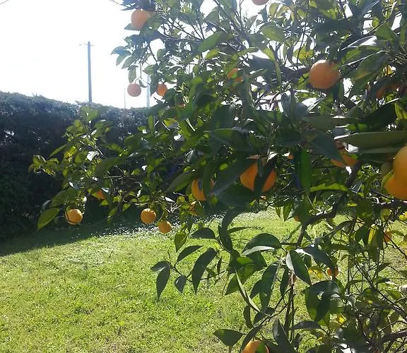 De Charme Avec Piscine גהיסונאצ'יה