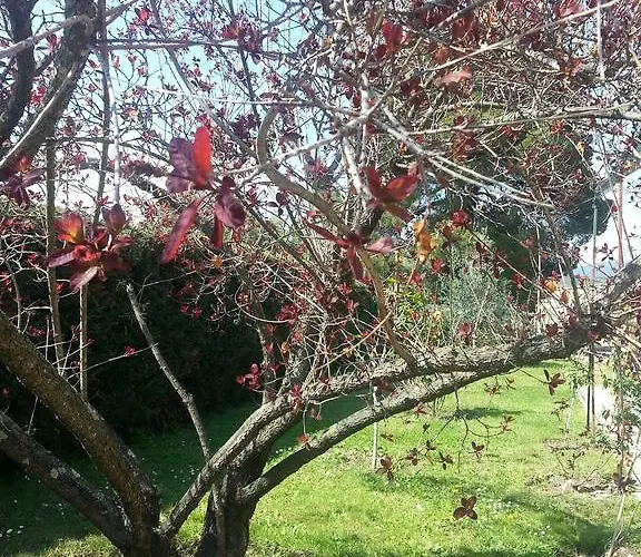 De Charme Avec Piscine גהיסונאצ'יה