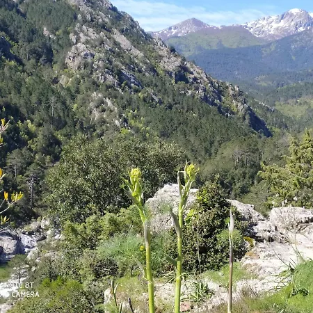 펜션 De Charme Avec Piscine *