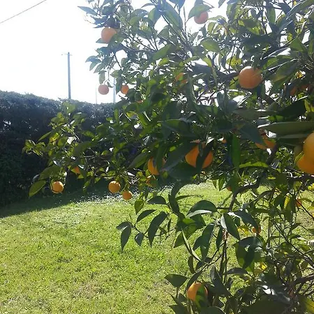 De Charme Avec Piscine Ghisonaccia