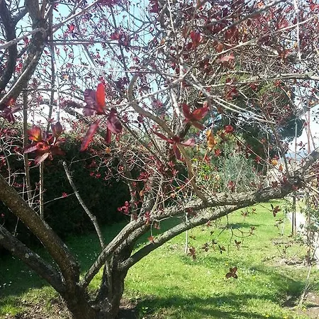 De Charme Avec Piscine ギソナクシア